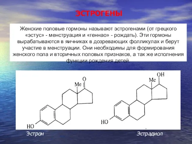 ЭСТРОГЕНЫ Женские половые гормоны называют эстрогенами (от грецкого «эстус» - менструация и