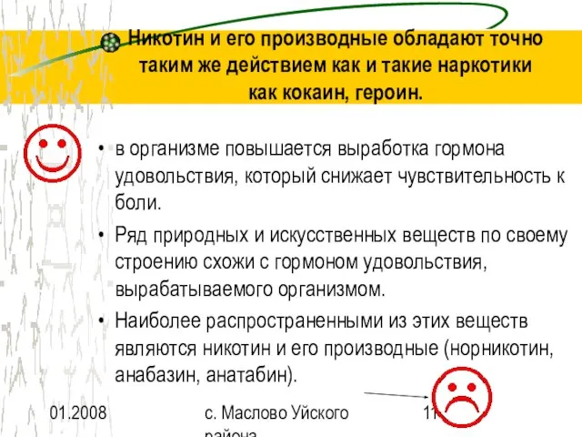 01.2008 с. Маслово Уйского района Никотин и его производные обладают точно таким