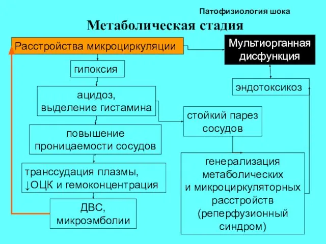 Патофизиология шока Метаболическая стадия Расстройства микроциркуляции гипоксия ацидоз, выделение гистамина повышение проницаемости