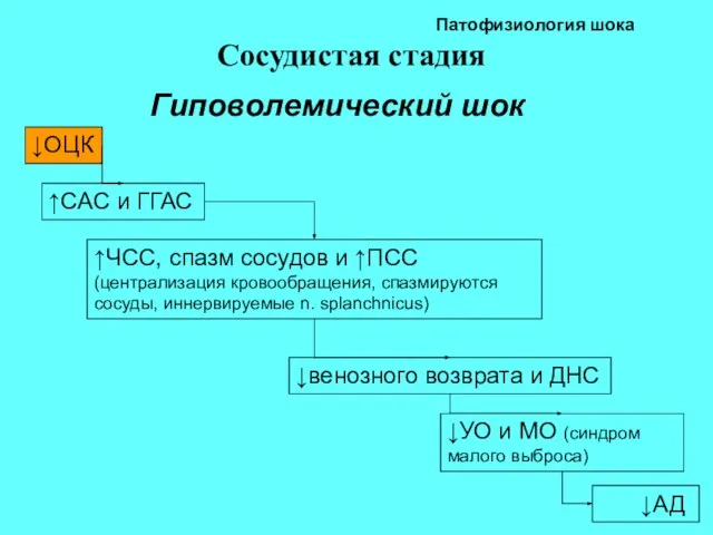 Патофизиология шока Сосудистая стадия ↓АД Гиповолемический шок ↓ОЦК ↑САС и ГГАС ↑ЧСС,