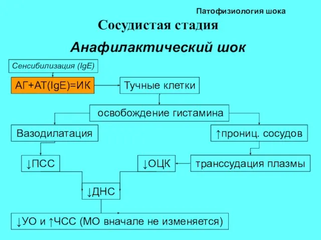 Патофизиология шока Сосудистая стадия Анафилактический шок АГ+АТ(IgE)=ИК Сенсибилизация (IgE) Тучные клетки освобождение