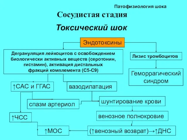 Патофизиология шока Сосудистая стадия Токсический шок Эндотоксины Лизис тромбоцитов Дегрануляция лейкоцитов с