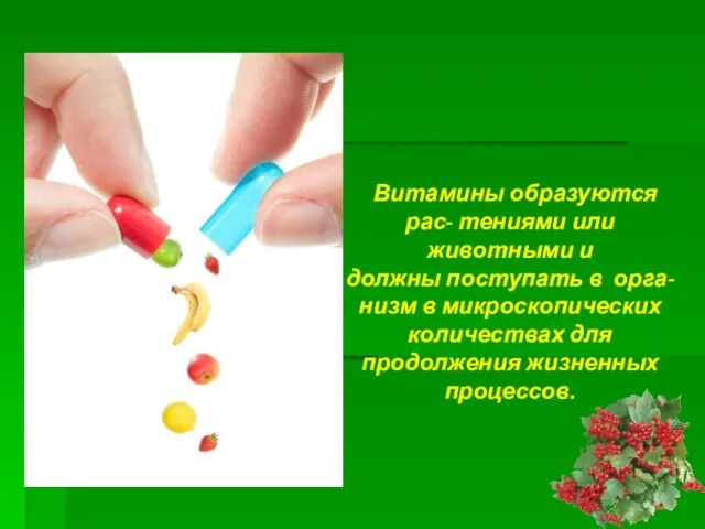 Витамины образуются рас- тениями или животными и должны поступать в орга- низм