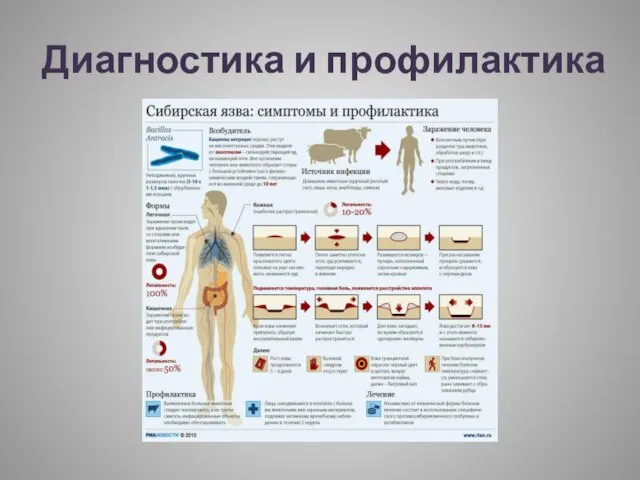 Диагностика и профилактика