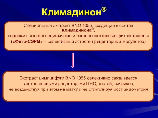 Специальный экстракт BNO 1055, входящий в состав Климадинона®, содержит высокоспецифичные и органоселективные