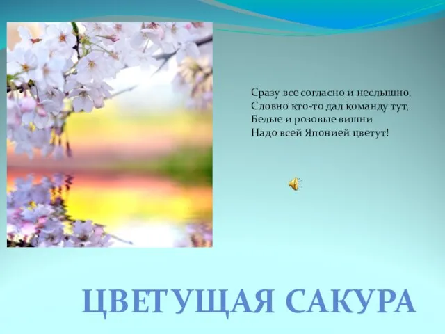 ЦВЕТУЩАЯ САКУРА Сразу все согласно и неслышно, Словно кто-то дал команду тут,