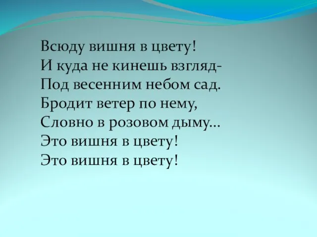 Всюду вишня в цвету! И куда не кинешь взгляд- Под весенним небом