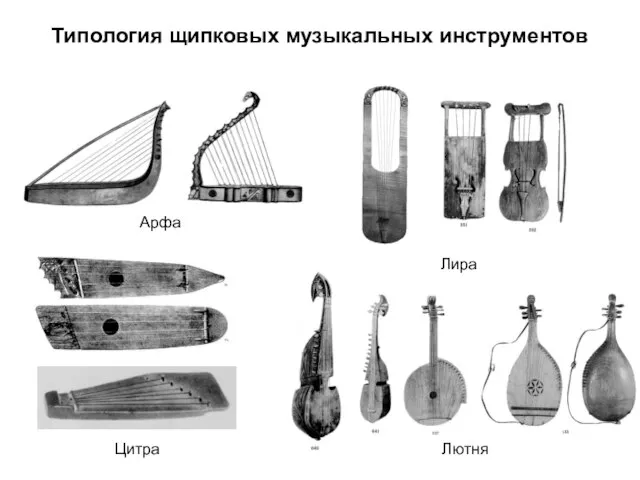 Типология щипковых музыкальных инструментов Арфа Цитра Лира Лютня