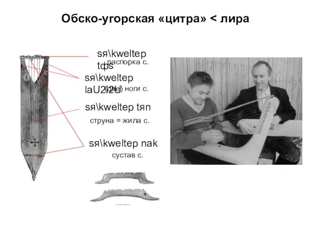 Обско-угорская «цитра» sя\kwеltеp tяn sя\kwеltеp nak sя\kwеltеp laU2l2U sя\kwеltеp tфs распорка с.