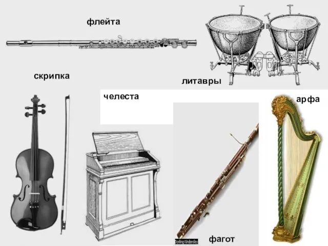 флейта скрипка челеста фагот литавры арфа