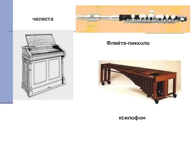 челеста Флейта-пикколо ксилофон