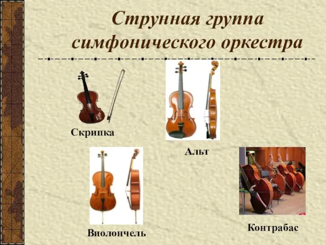 Струнная группа симфонического оркестра Скрипка Альт Виолончель Контрабас