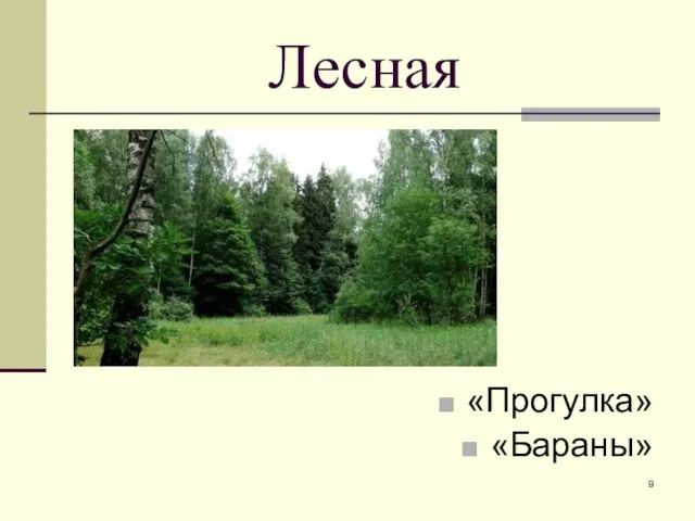 Лесная «Прогулка» «Бараны»