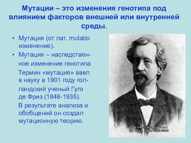 Мутации – это изменения генотипа под влиянием факторов внешней или внутренней среды.