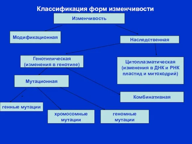 Классификация форм изменчивости Изменчивость Модификационная Наследственная Генотипическая (изменения в генотипе) Цитоплазматическая (изменения