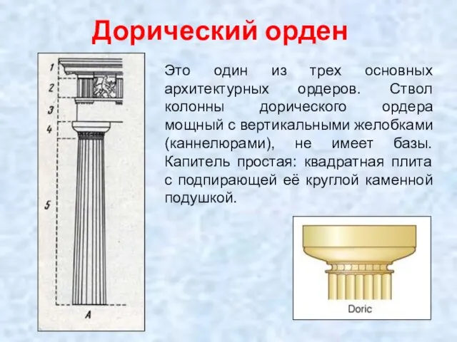Дорический орден Это один из трех основных архитектурных ордеров. Ствол колонны дорического