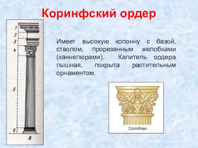 Коринфский ордер Имеет высокую колонну с базой, стволом, прорезанным желобками (каннелюрами). Капитель