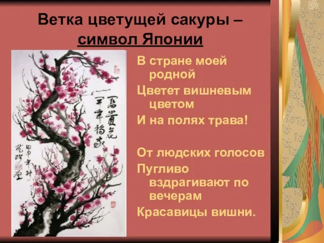 Ветка цветущей сакуры – символ Японии В стране моей родной Цветет вишневым