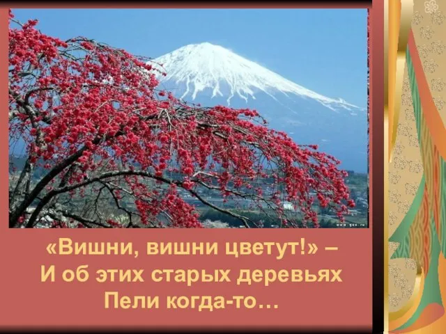 «Вишни, вишни цветут!» – И об этих старых деревьях Пели когда-то…