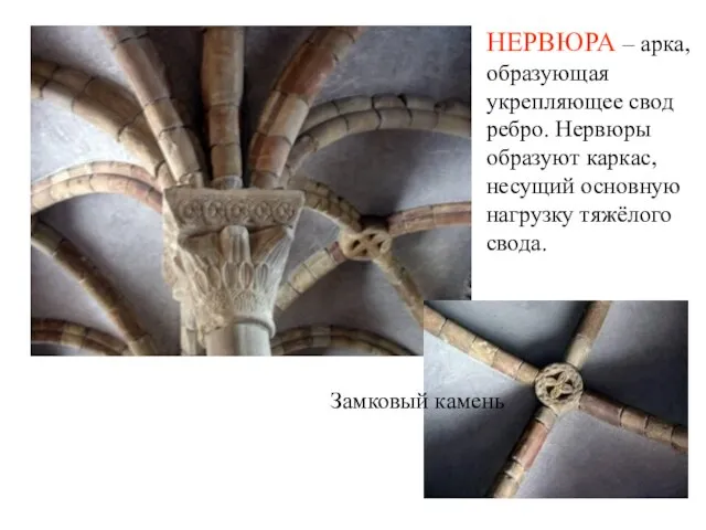 Замковый камень НЕРВЮРА – арка, образующая укрепляющее свод ребро. Нервюры образуют каркас,