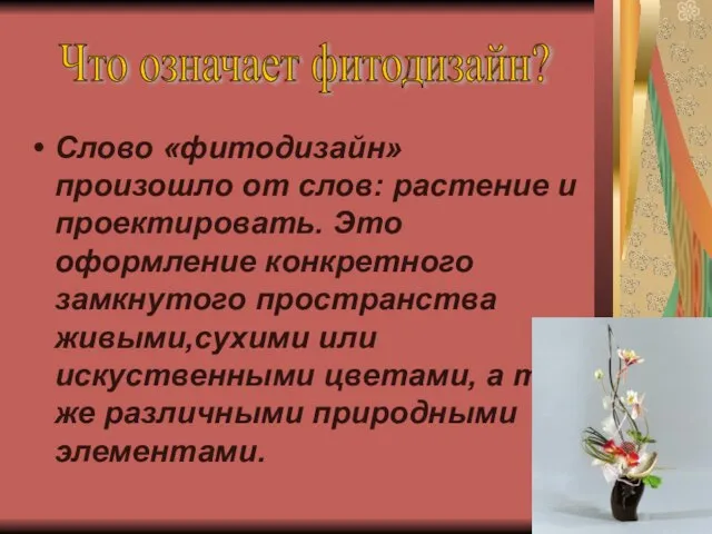 Слово «фитодизайн» произошло от слов: растение и проектировать. Это оформление конкретного замкнутого