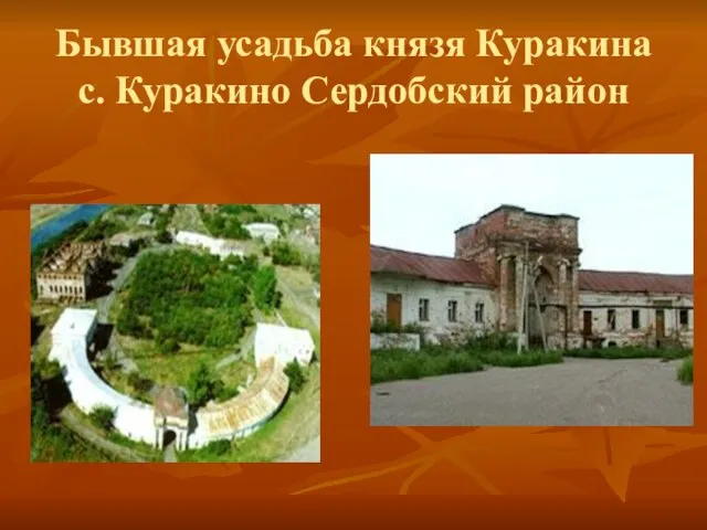 Бывшая усадьба князя Куракина с. Куракино Сердобский район
