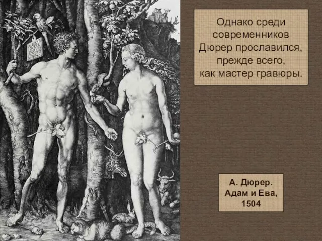 Однако среди современников Дюрер прославился, прежде всего, как мастер гравюры. А. Дюрер. Адам и Ева, 1504