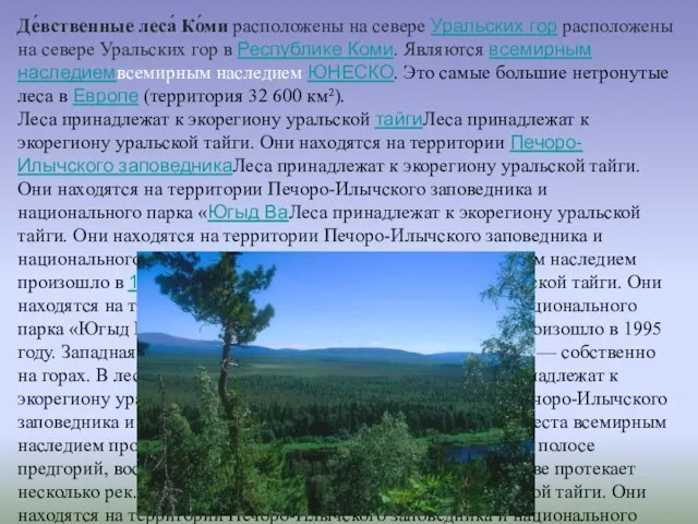 Де́вственные леса́ Ко́ми расположены на севере Уральских гор расположены на севере Уральских