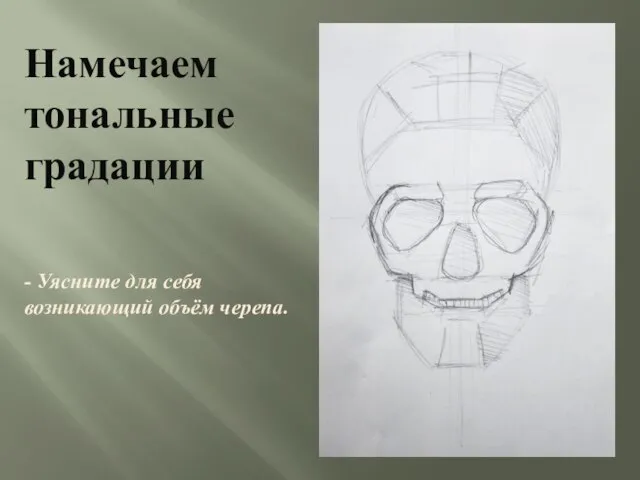 Намечаем тональные градации - Уясните для себя возникающий объём черепа.