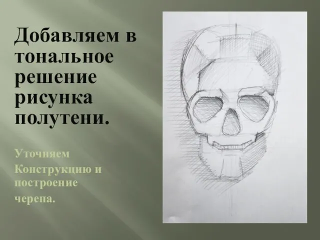 Добавляем в тональное решение рисунка полутени. Уточняем Конструкцию и построение черепа.