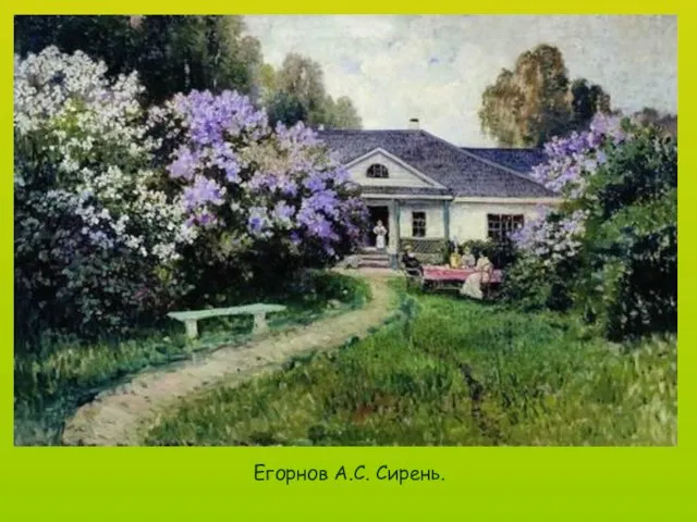 Егорнов А.С. Сирень.