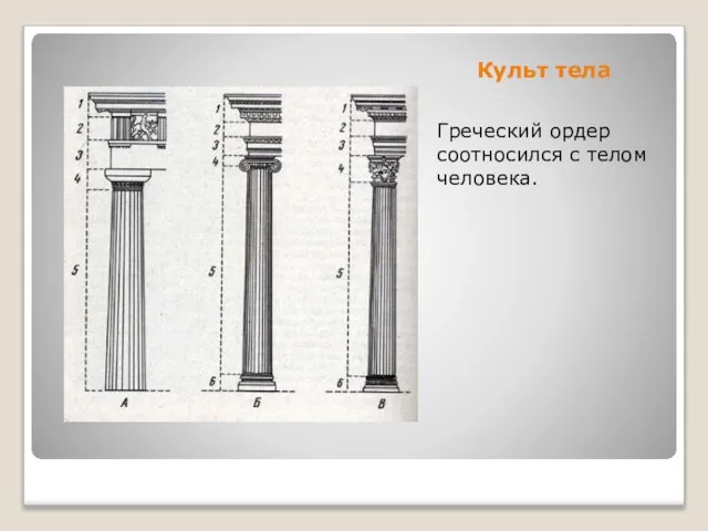 Культ тела Греческий ордер соотносился с телом человека.