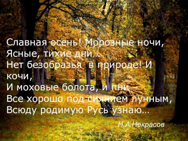 Славная осень! Морозные ночи, Ясные, тихие дни… Нет безобразья в природе! И