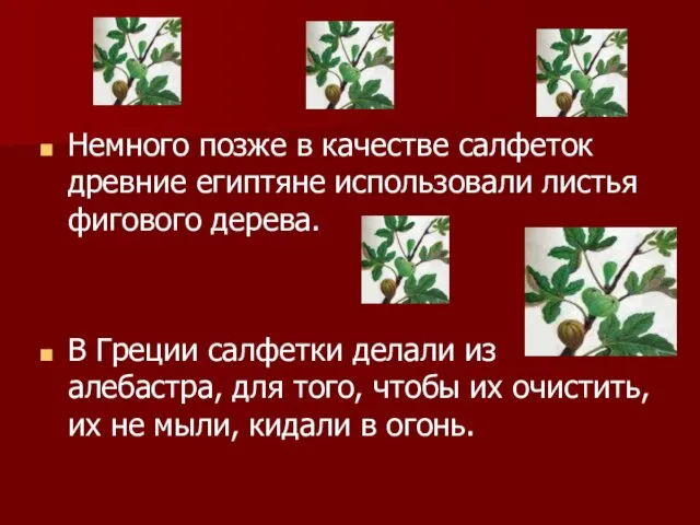 Немного позже в качестве салфеток древние египтяне использовали листья фигового дерева. В