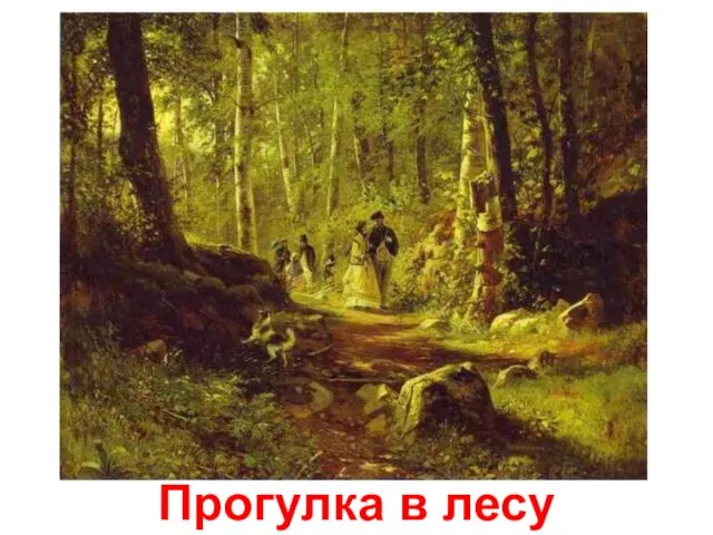 Прогулка в лесу