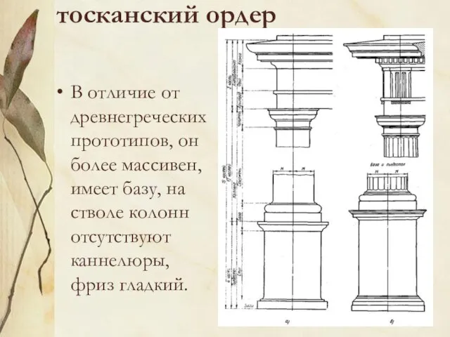 тосканский ордер В отличие от древнегреческих прототипов, он более массивен, имеет базу,