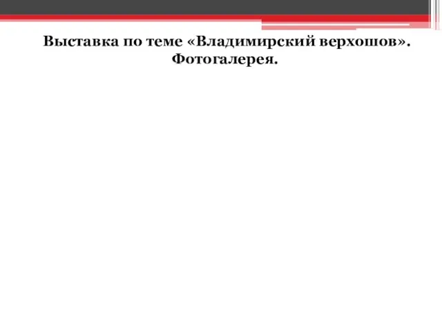 Выставка по теме «Владимирский верхошов». Фотогалерея.