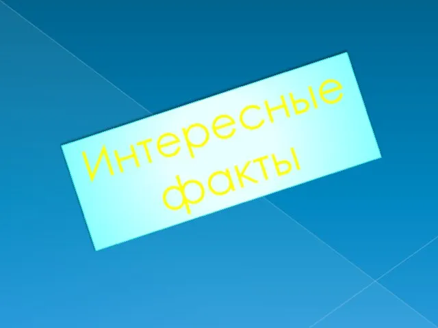 Интересные факты