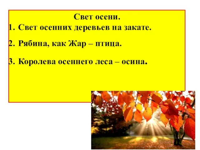 Свет осени. Свет осенних деревьев на закате. Рябина, как Жар – птица.