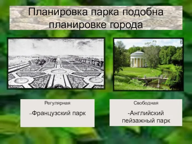 Планировка парка подобна планировке города Регулярная –Французский парк Свободная -Английский пейзажный парк