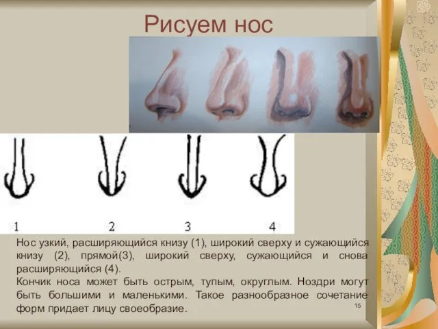 Рисуем нос Нос узкий, расширяющийся книзу (1), широкий сверху и сужающийся книзу