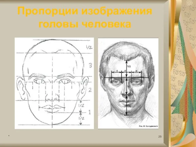 Пропорции изображения головы человека *