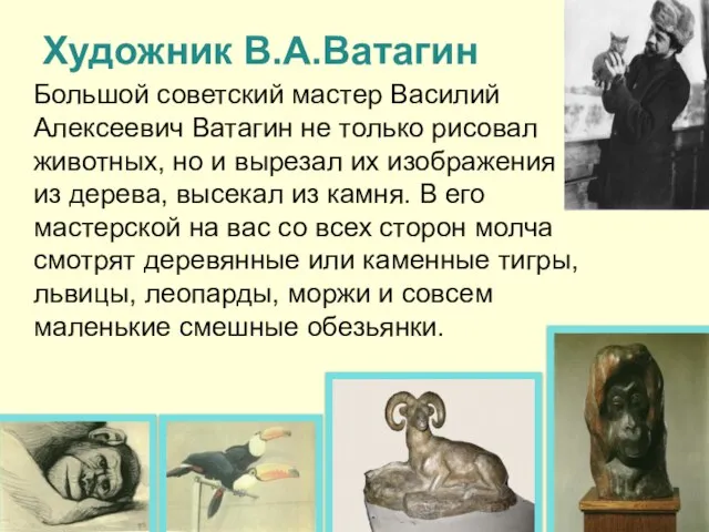 Художник В.А.Ватагин Большой советский мастер Василий Алексеевич Ватагин не только рисовал животных,