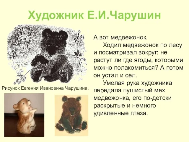 Художник Е.И.Чарушин А вот медвежонок. Ходил медвежонок по лесу и посматривал вокруг: