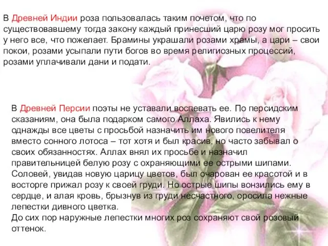 В Древней Индии роза пользовалась таким почетом, что по существовавшему тогда закону