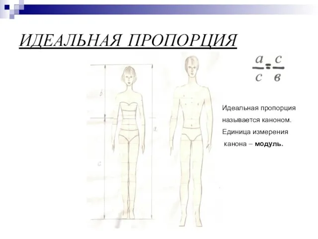 ИДЕАЛЬНАЯ ПРОПОРЦИЯ Идеальная пропорция называется каноном. Единица измерения канона – модуль.