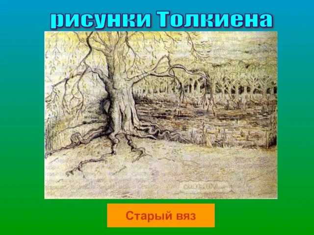 рисунки Толкиена Старый вяз