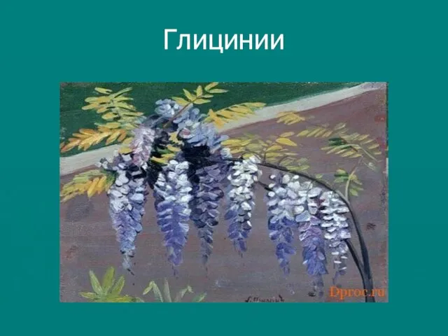 Глицинии