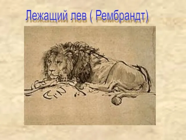 Лежащий лев ( Рембрандт)