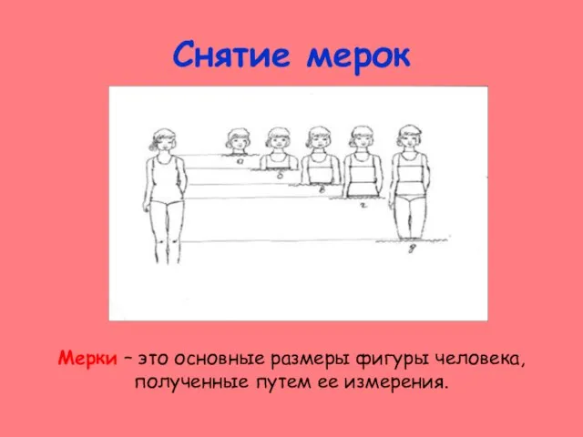 Снятие мерок Мерки – это основные размеры фигуры человека, полученные путем ее измерения.